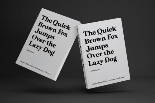 Modyst Serif Font 8