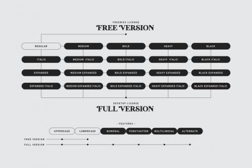 Modyst Serif Font 9