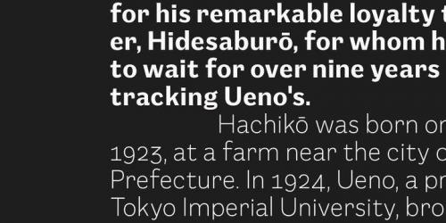 Mushin Sans Serif Font 3