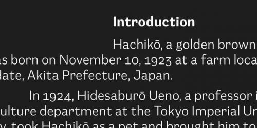 Mushin Sans Serif Font 5