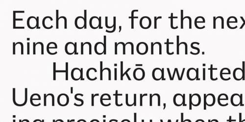 Mushin Sans Serif Font 6