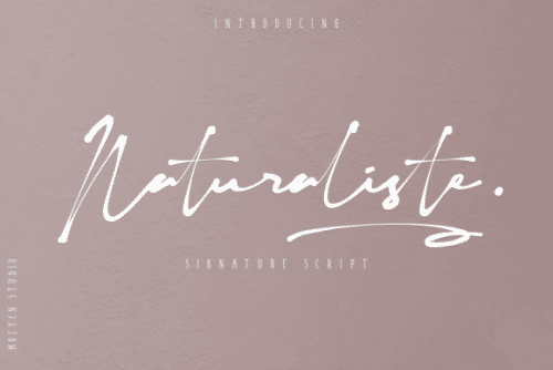 Naturaliste Script Font 1