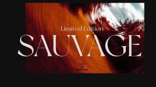 NewYork Serif Font 2