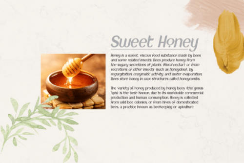 New Crown Sans Serif Font 8