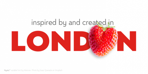 Nyata Sans Serif Font 10