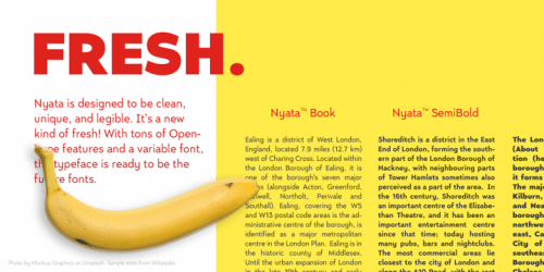 Nyata Sans Serif Font 7