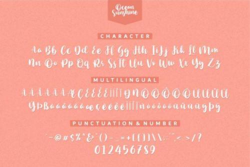 Ocean Sunshine Script Font 11
