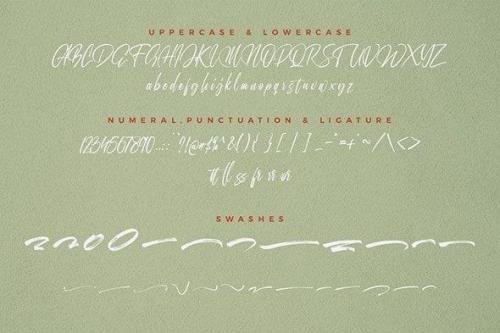 Onebillion Script Font Duo 5