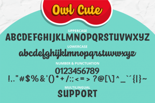 Owl Cute Script Font 4