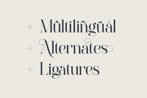 Paradizo Serif Font 3