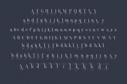 Paradizo Serif Font 7