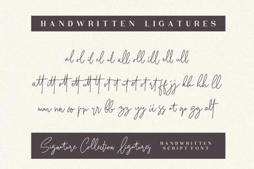 Petricia Signature Font 6