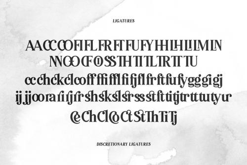 Pioggia Modern Serif Font 9