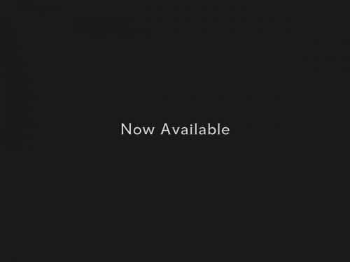 Placid Armor Typeface 8