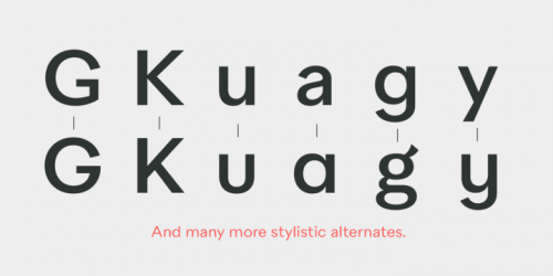 Quarion Font Family 13