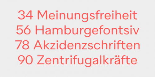 Quarion Font Family 7