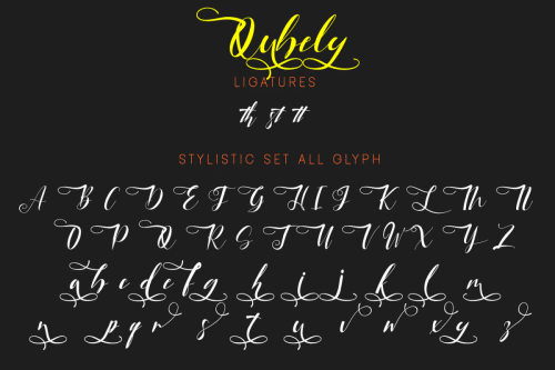 Qubely Script Font 6