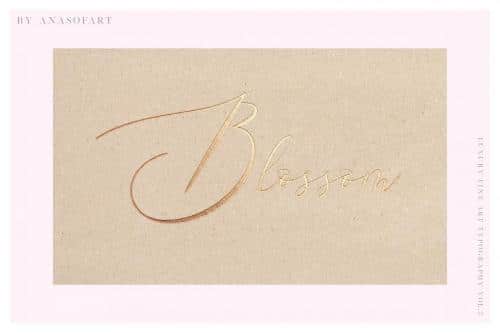 Queenland Script Font 5