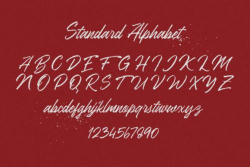 Ranshell Handbrush Font 8