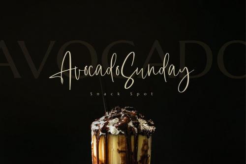 Raysat Elegant Signature Font 11