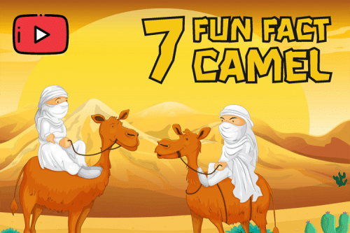 Rock Boulder Font  9