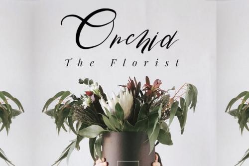 Rose Malow Script Font 3