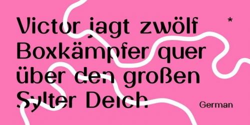 SK Gothenburg Sans Serif Font 4