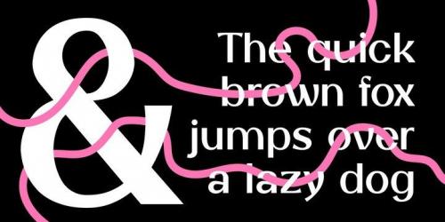 SK Gothenburg Sans Serif Font 5