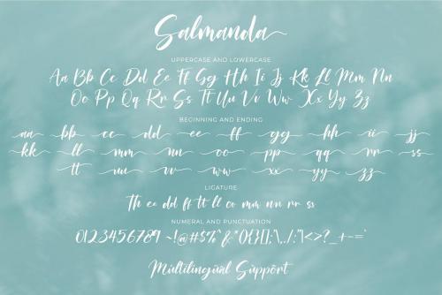 Salmanda Calligraphy Font 7