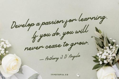 Seville Handwritten Font 9