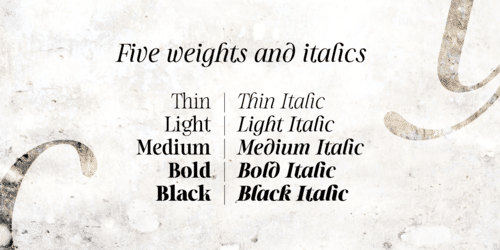 Sharpe Font Family 3