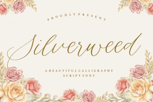 Silverweed Beautiful Calligraphy Script Font 1