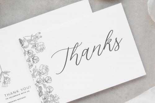 Silverweed Beautiful Calligraphy Script Font 7