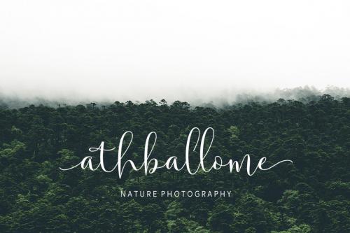 Solidar Script Font 12