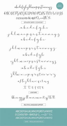 Solidar Script Font 8