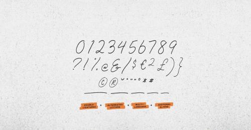 Special Touch Script Font 3