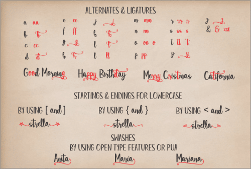 Star Strella Script Font 4