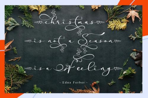 Stella Calligraphy Font 11