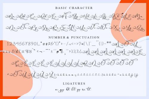 Stella Calligraphy Font 3