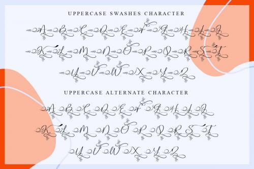 Stella Calligraphy Font 4