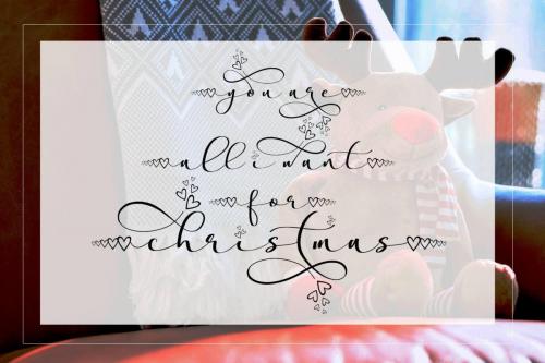 Stella Calligraphy Font 5