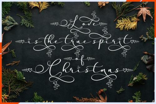 Stella Calligraphy Font 9