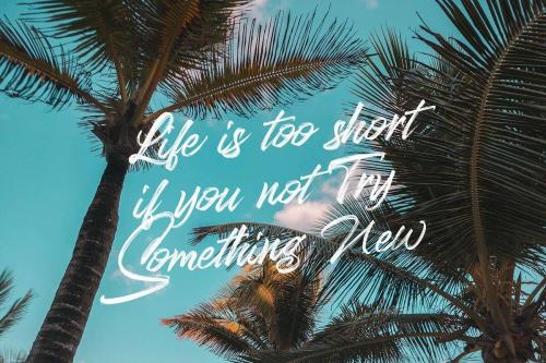 Stereohead Brush Font SVG 7