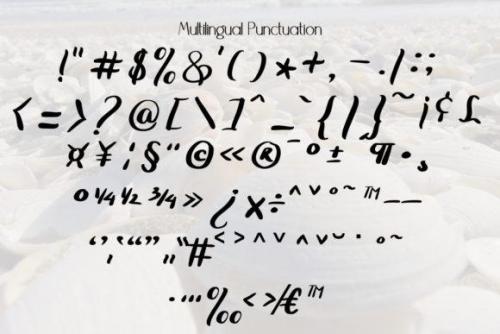 Summer Clam Calligraphy Font 9