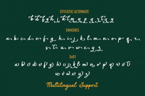 Sunday in Adelaide Script Font 11