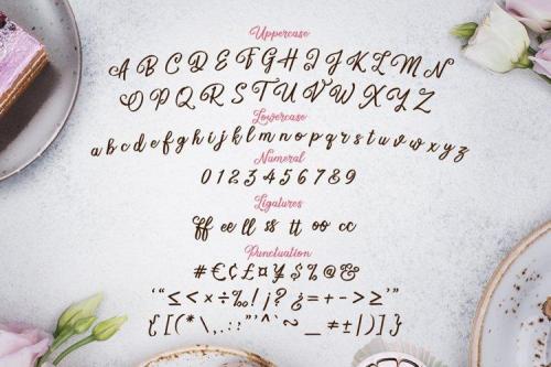 Sweet’s Delight Script Font 4
