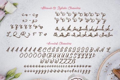 Sweet’s Delight Script Font 5