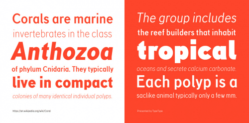 TT-Corals-Font-1