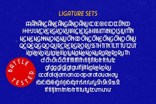 Tawakkal Sans Font 9