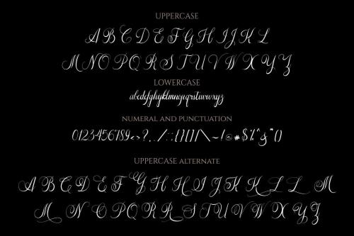The Adalyne Script Font 11